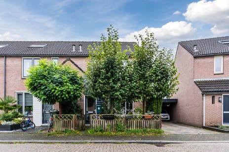 undefined main image