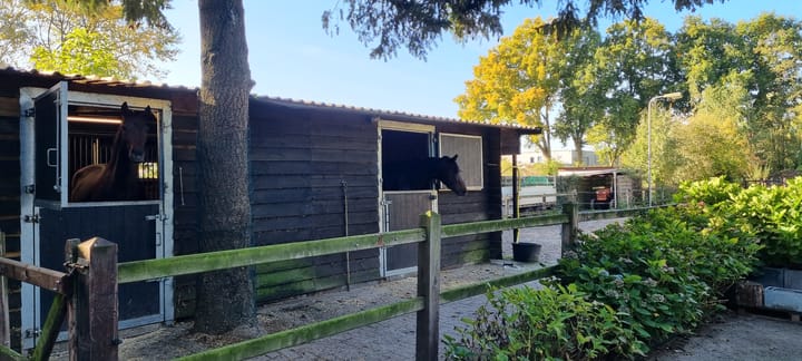 Foto 3 van Harderwijkerweg 193