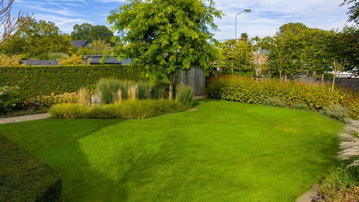 Foto 37 van de Steege 67