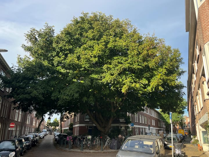 Foto 3 van Beukstraat 49