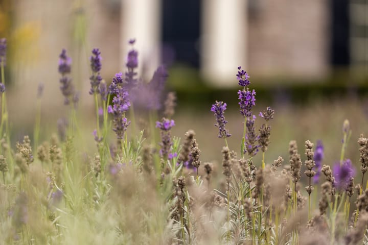 Foto 7 van Polderdijk 18-D