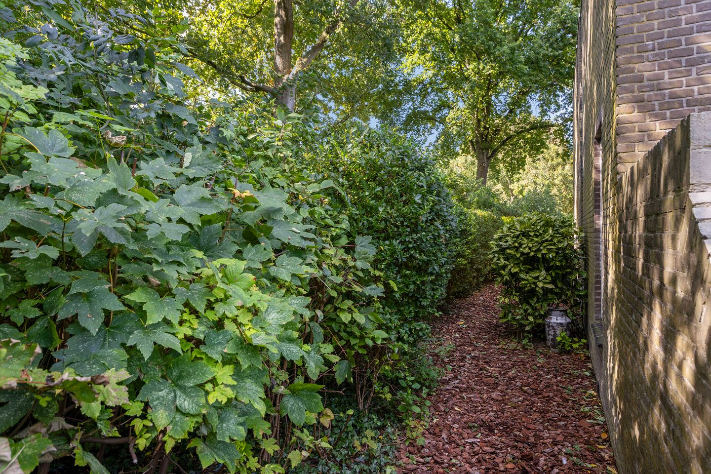 Foto 49 van Pallasstraat 154