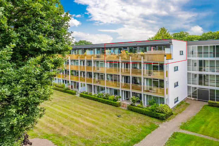 Park Boswijk 479 main image