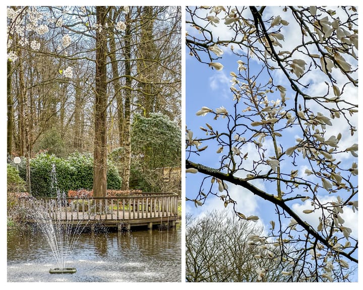 Photo 37 of Park Boswijk 479