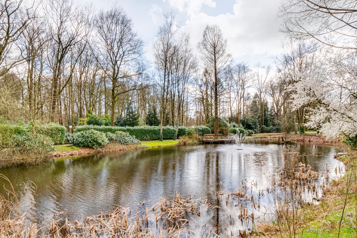 Photo 39 of Park Boswijk 479