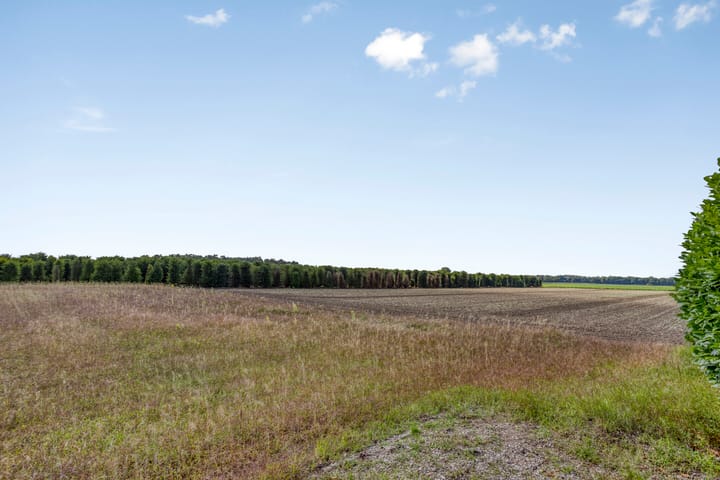 Photo 3 of Rozendaal 6