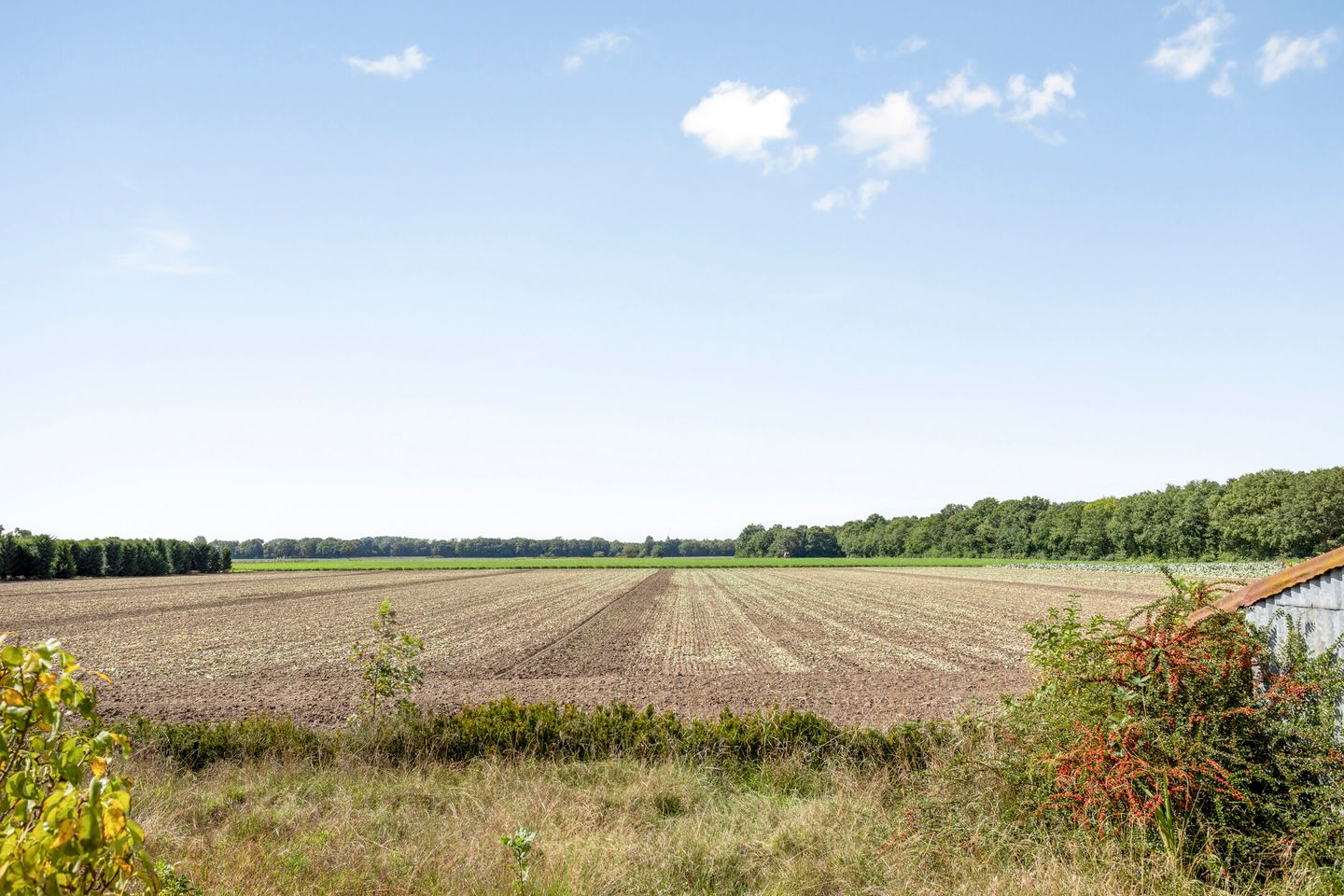 Foto 4 van Rozendaal 6