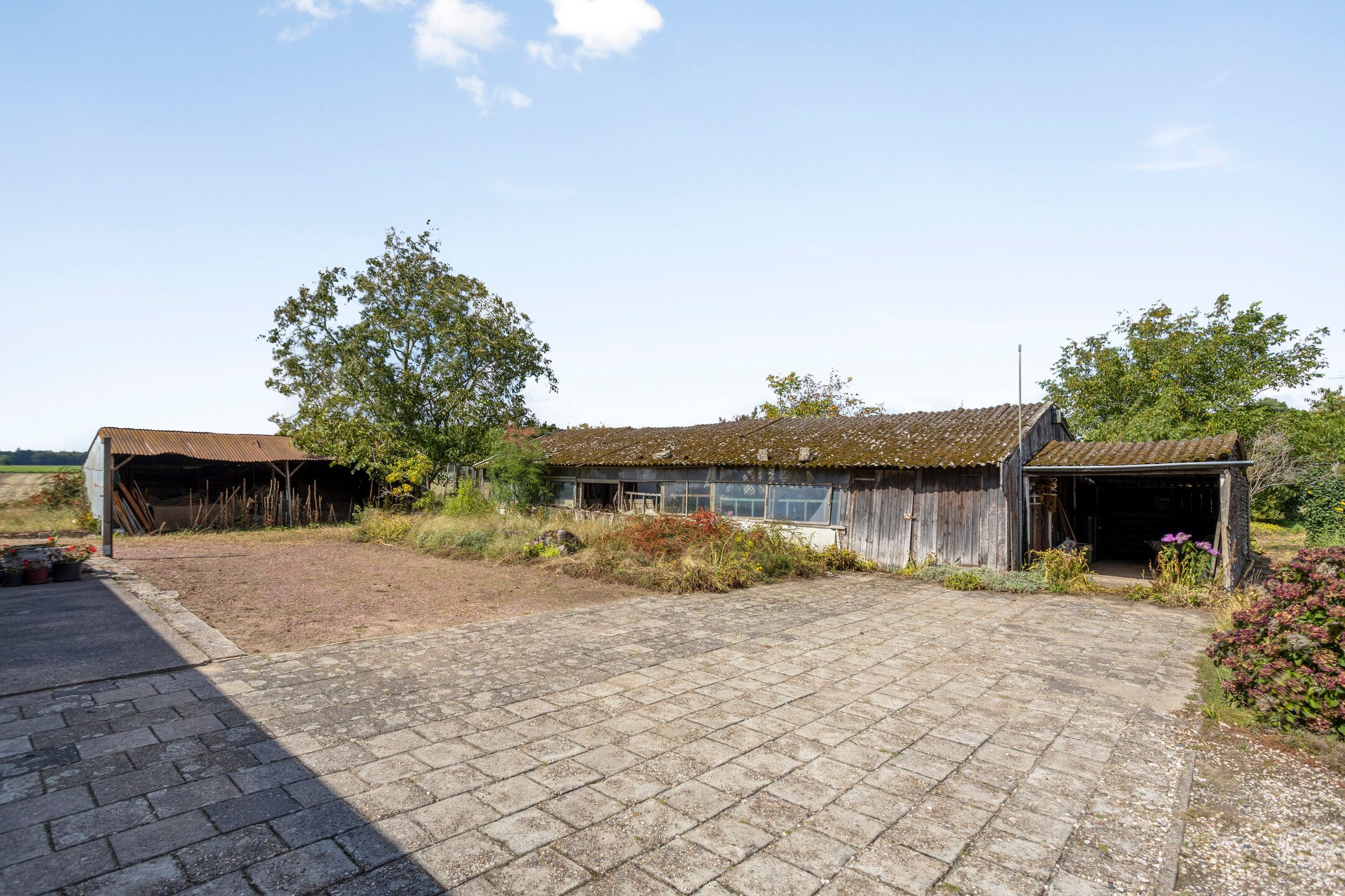 Foto 39 van Rozendaal 6