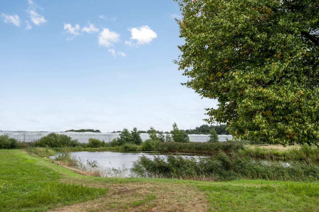 Foto 47 van Rozendaal 6