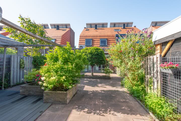 Foto 41 van Zuiderlicht 103