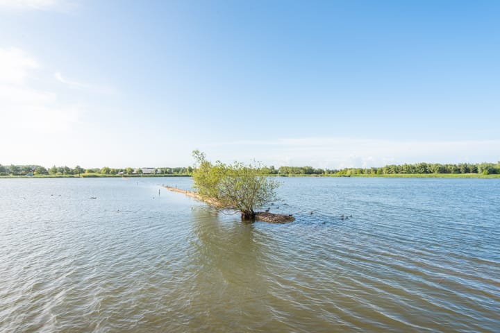 Foto 49 van Zuiderlicht 103