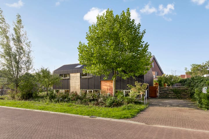 Foto 57 van Distelvlinder 3