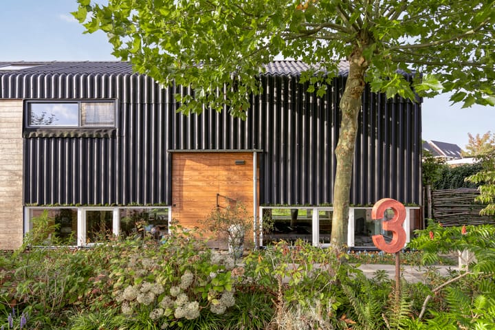 Foto 7 van Distelvlinder 3