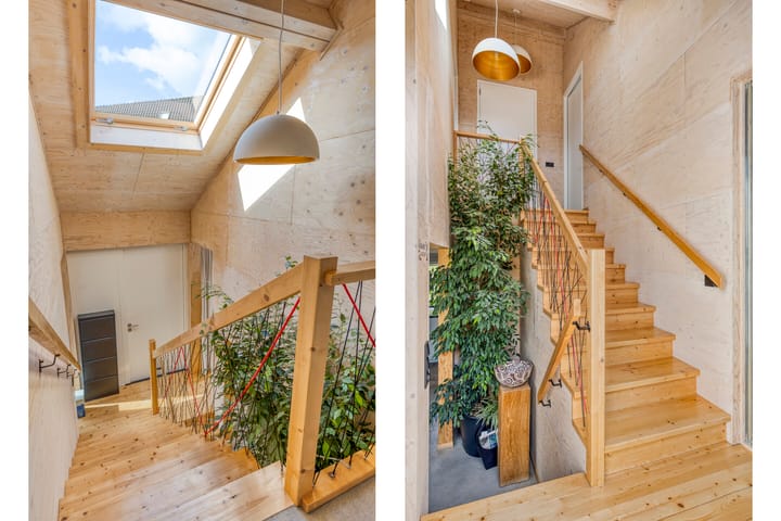 Foto 33 van Distelvlinder 3