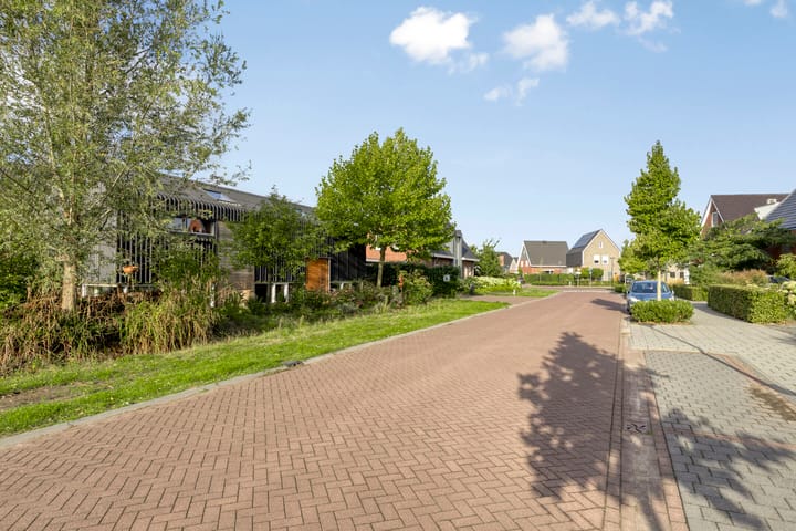 Foto 59 van Distelvlinder 3