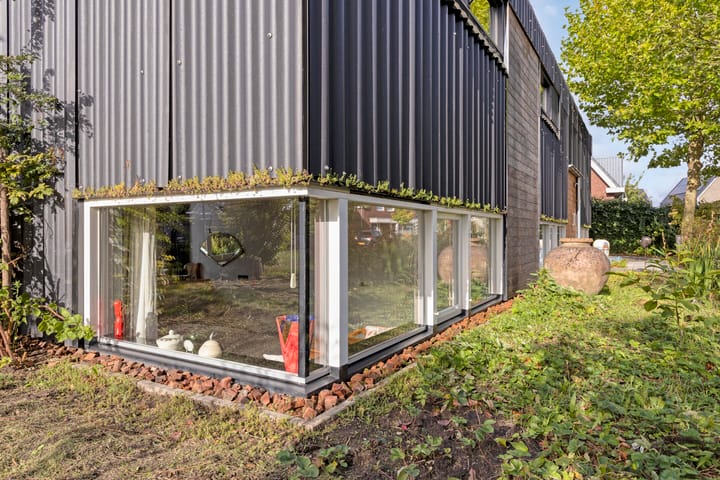 Foto 54 van Distelvlinder 3