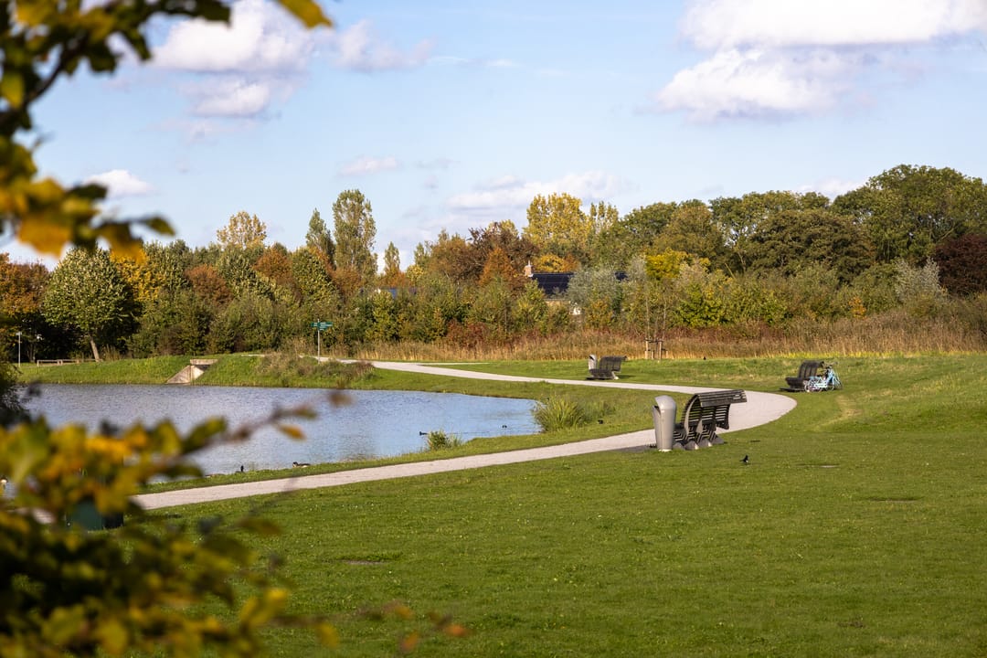 Foto 26 van Kokardebloemlaan 11