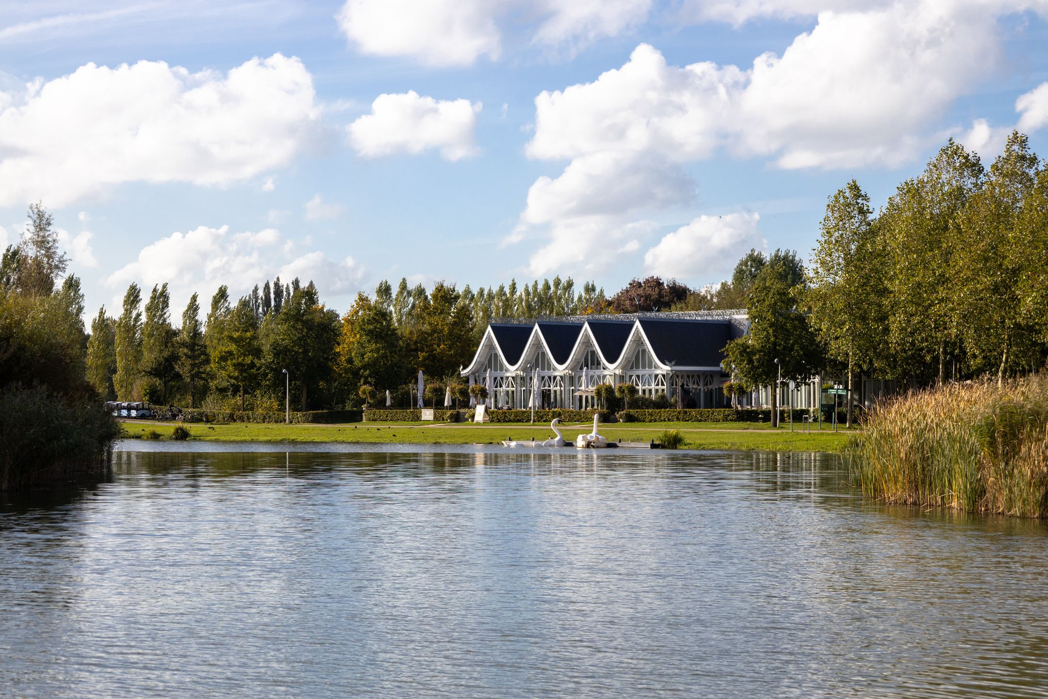 Foto 27 van Kokardebloemlaan 11