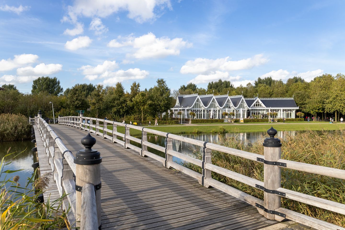 Foto 29 van Kokardebloemlaan 11