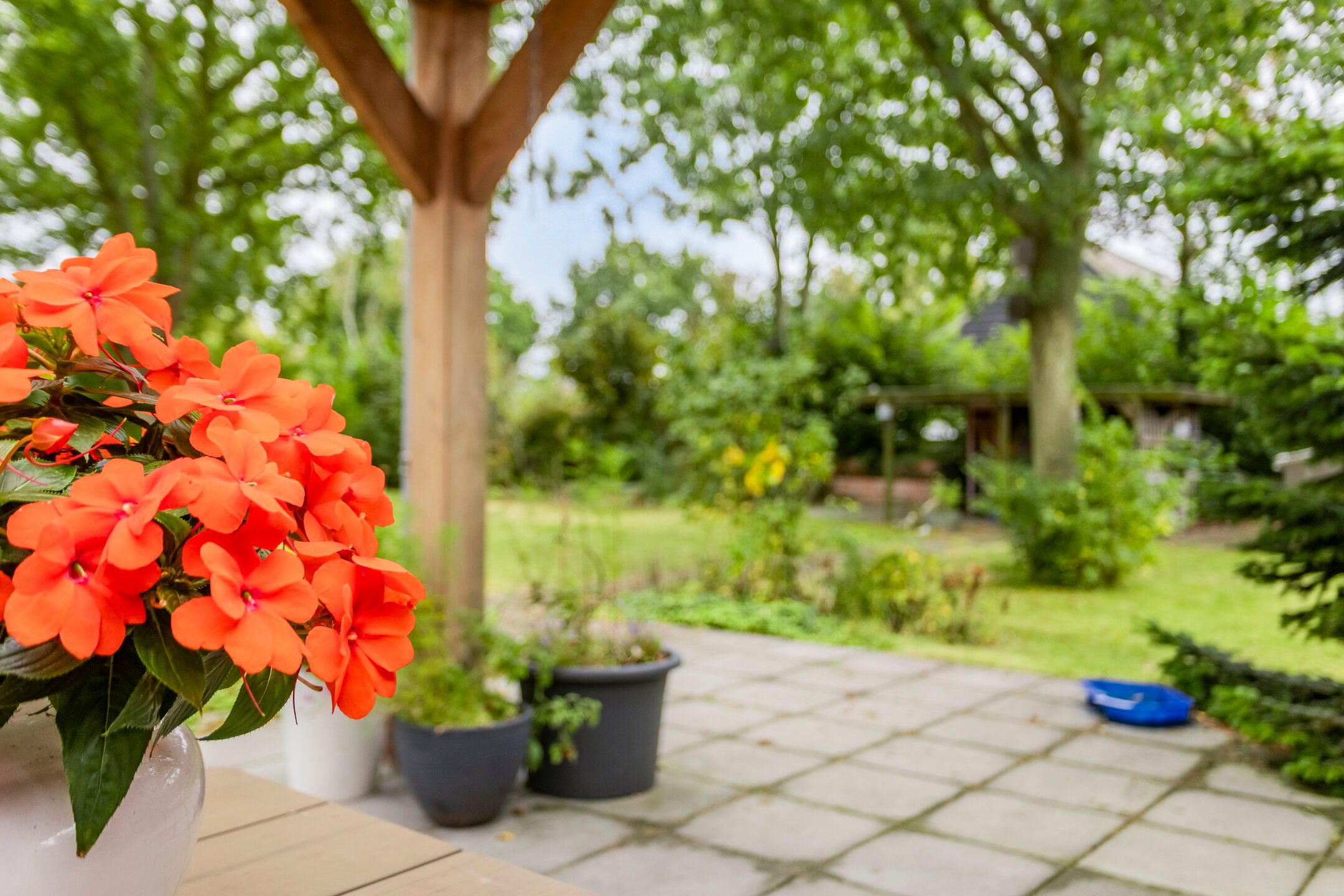 Foto 45 van Hogezoom 160