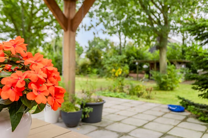 Photo 45 of Hogezoom 160