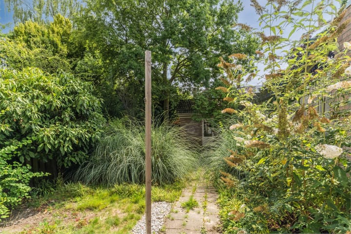 Foto 31 van Humperdincklaan 51