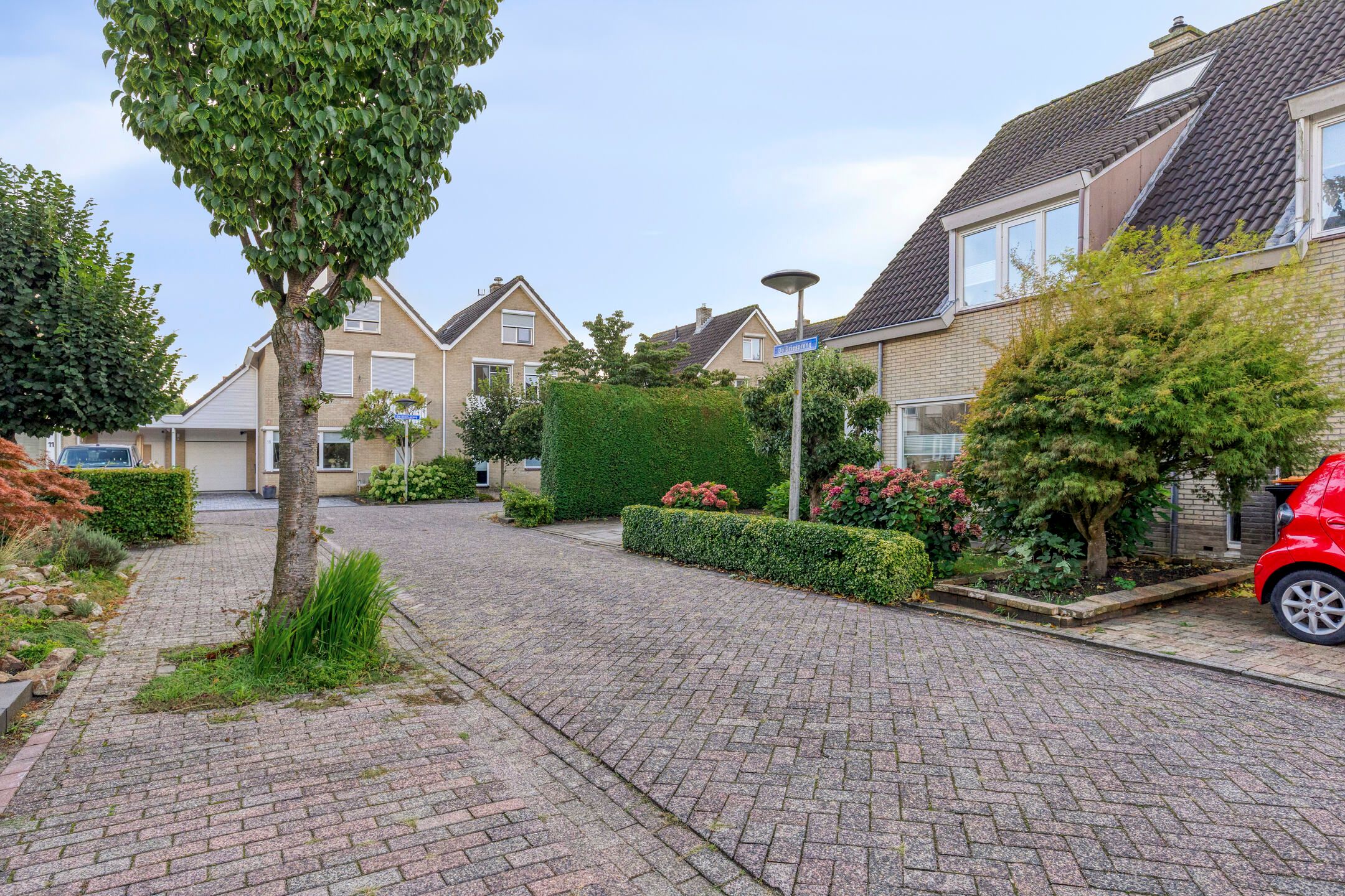 Photo 48 of De Driesprong 1