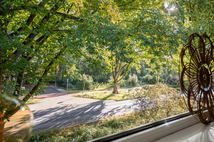 Photo 15 of Helperzoom 155