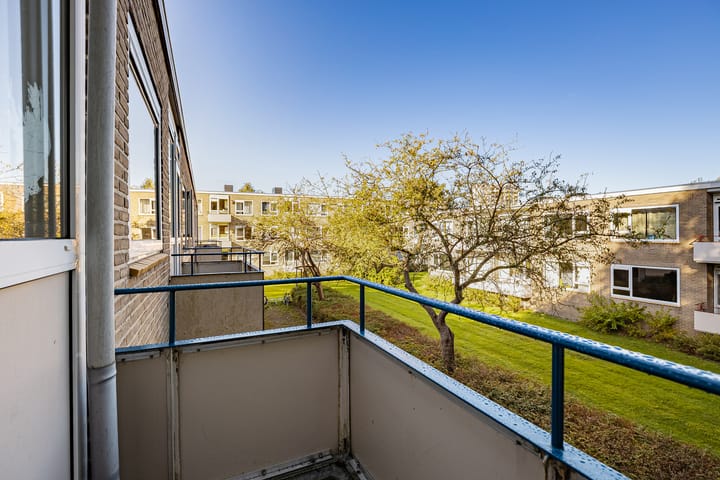 Photo 24 of Helperzoom 155