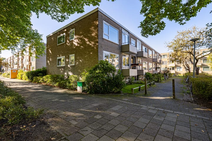 Photo 26 of Helperzoom 155