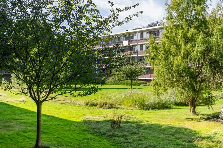 Foto 25 van Jan van Arkelstraat 66