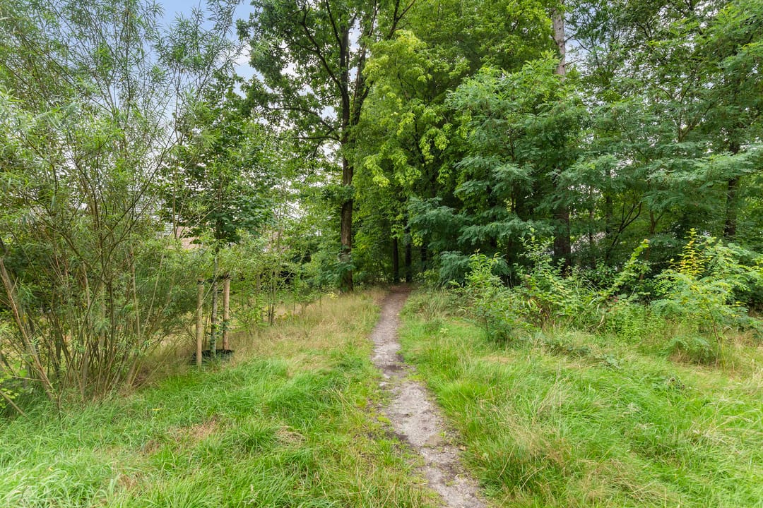 Foto 46 van Jan Barendsenstraat 10