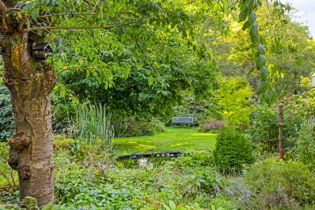 Foto 2 van Molenbosch 2