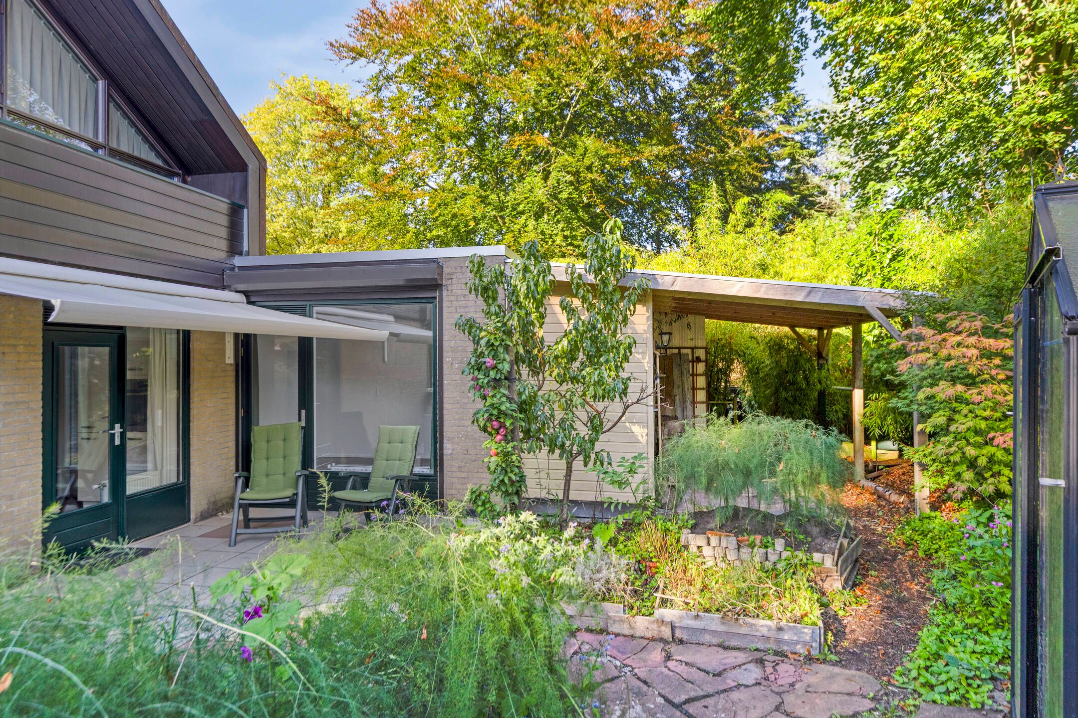 Foto 3 van Molenbosch 2