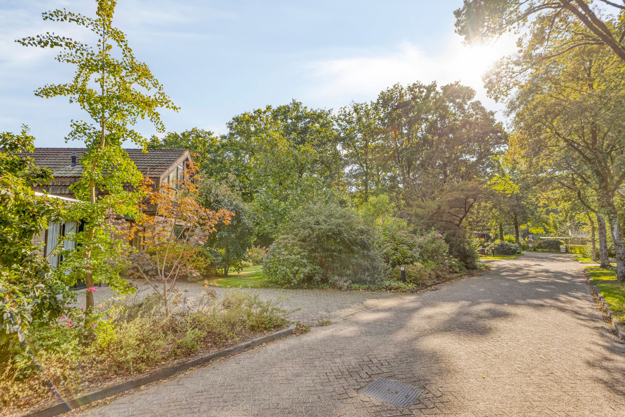 Foto 6 van Molenbosch 2