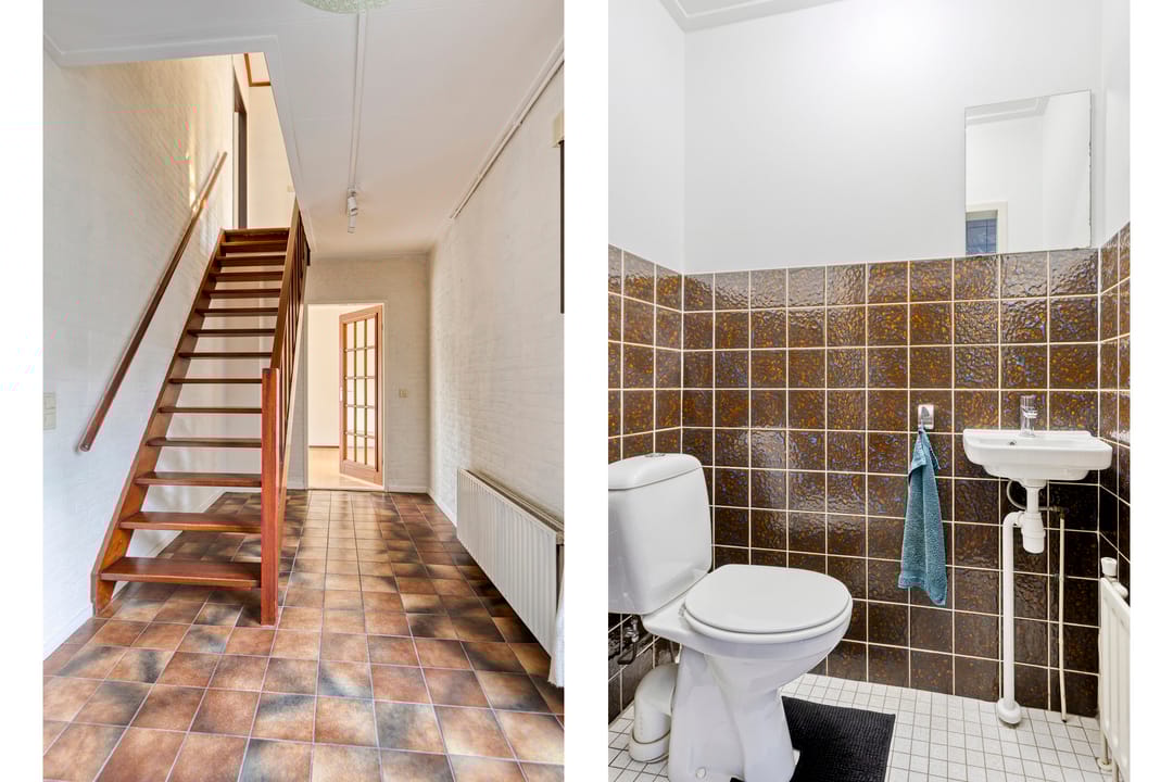 Foto 8 van Molenbosch 2