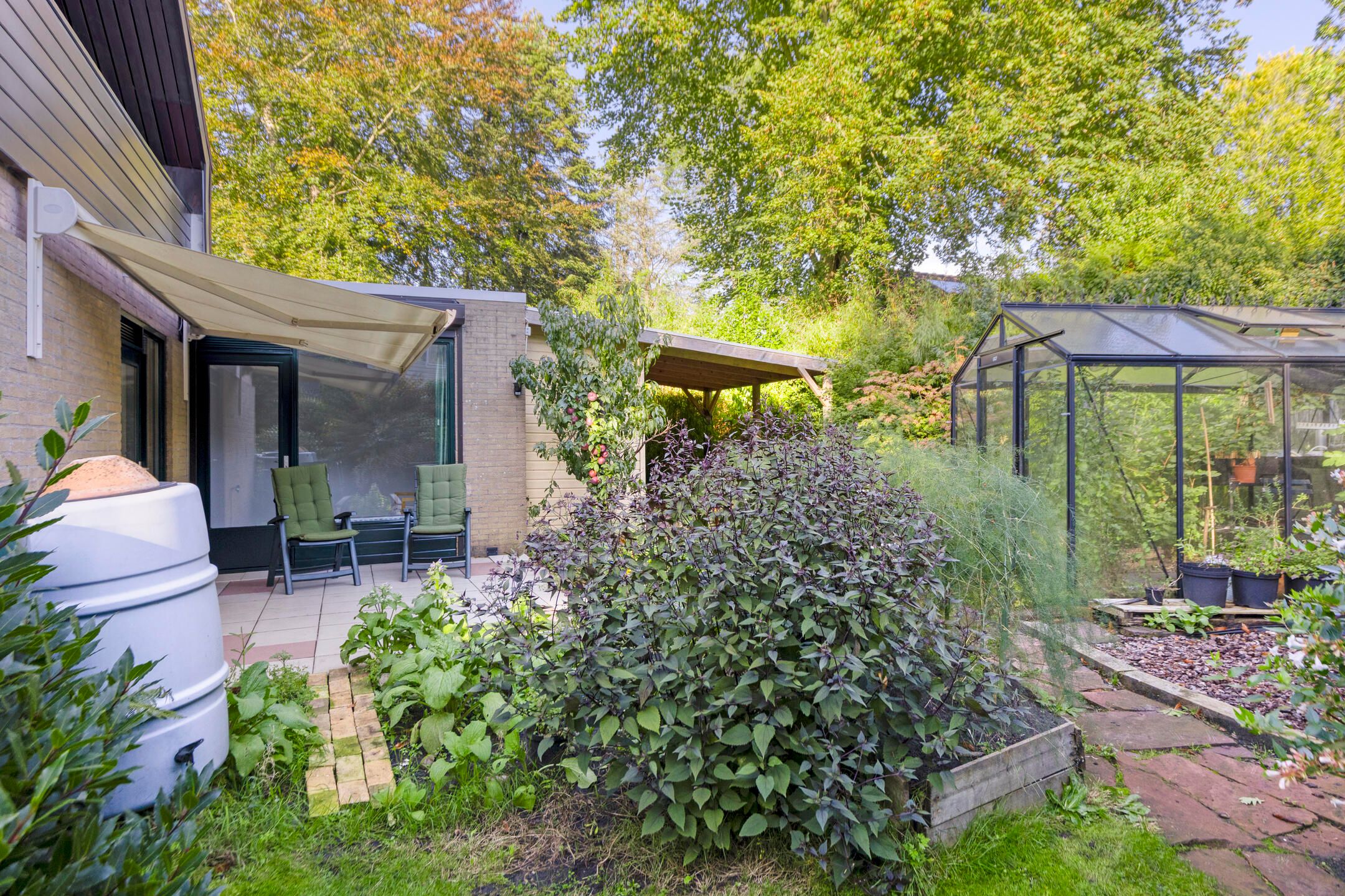 Foto 39 van Molenbosch 2