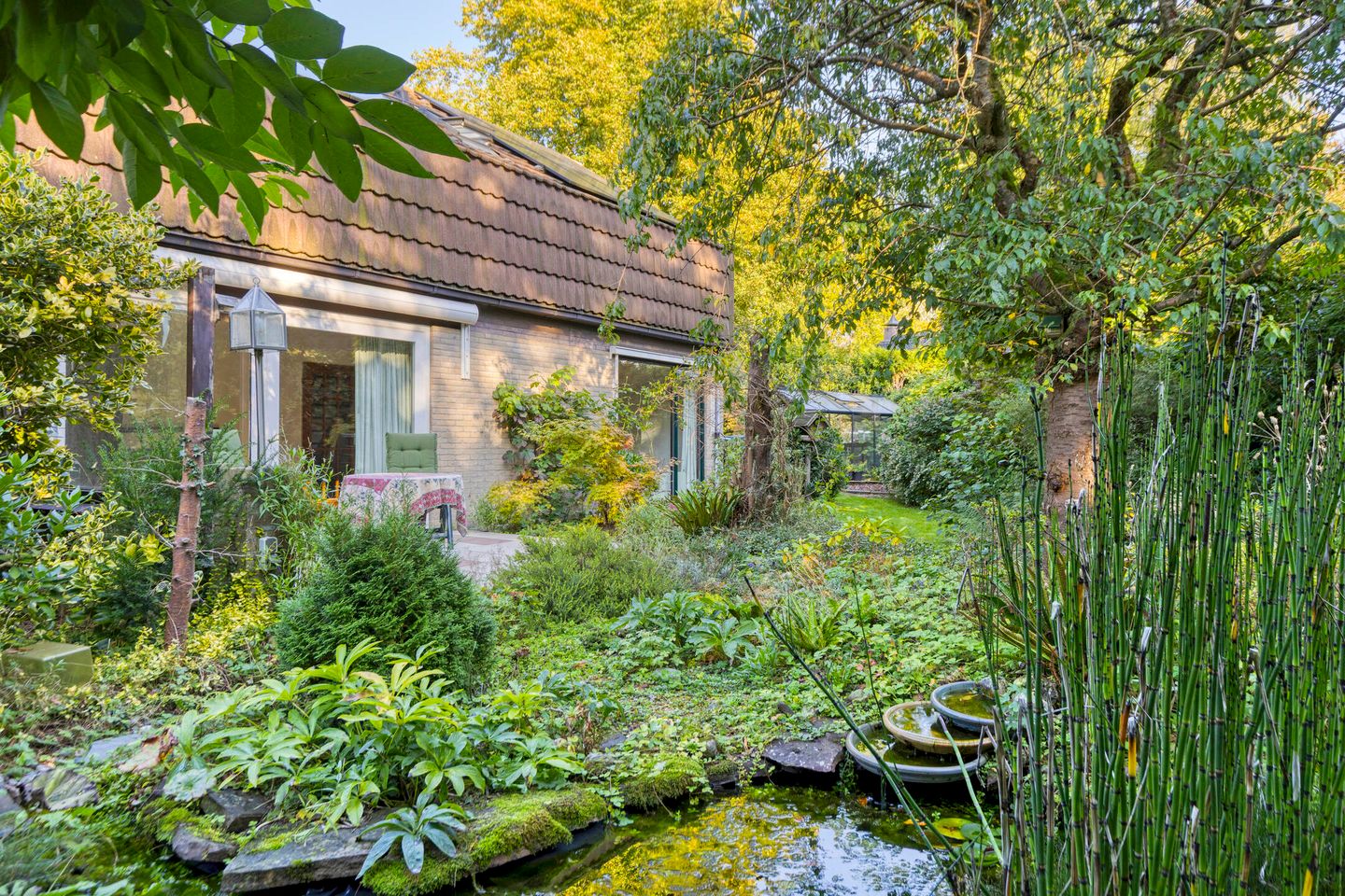 Foto 40 van Molenbosch 2