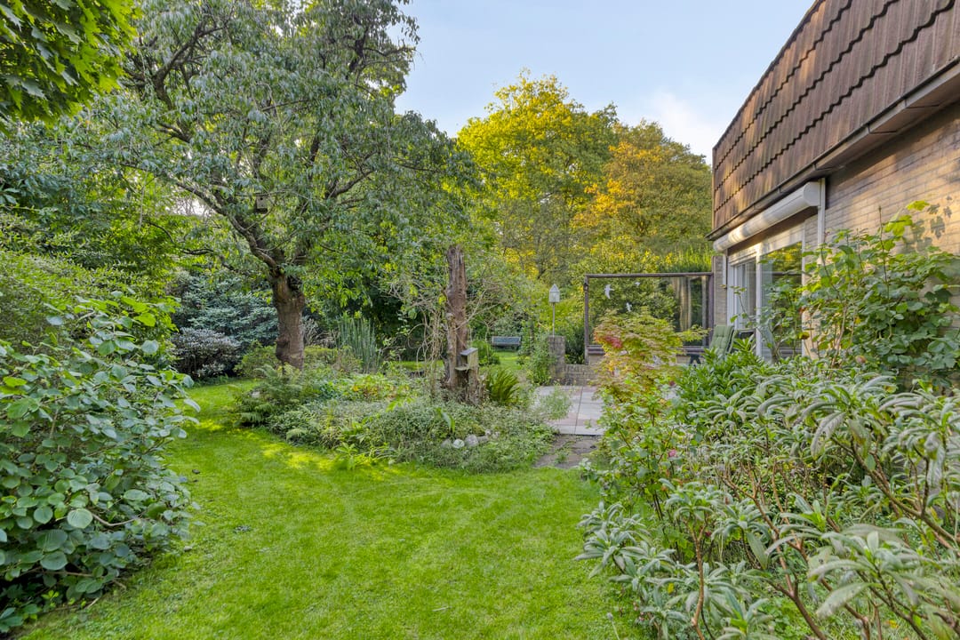 Foto 41 van Molenbosch 2