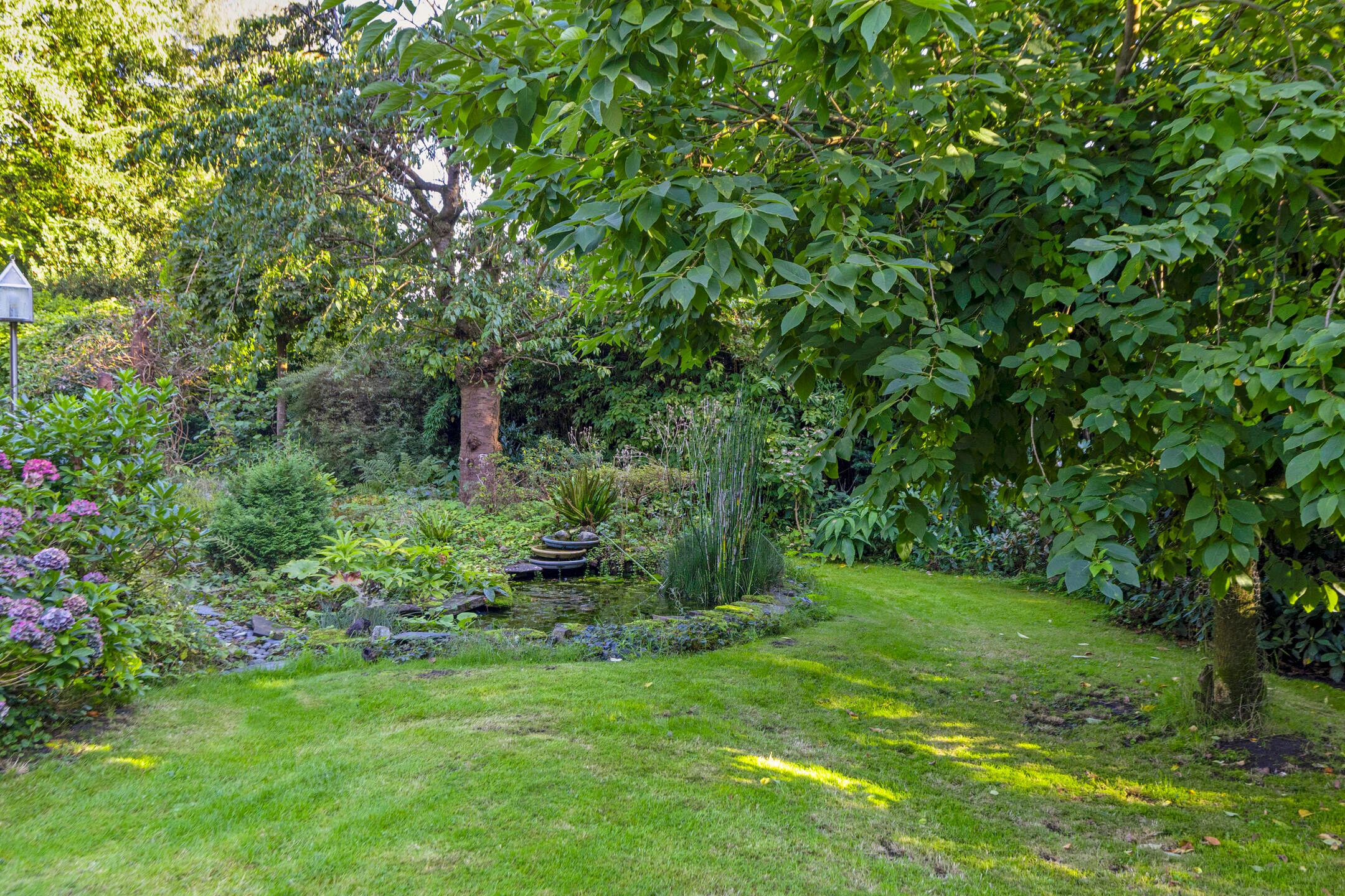 Foto 42 van Molenbosch 2