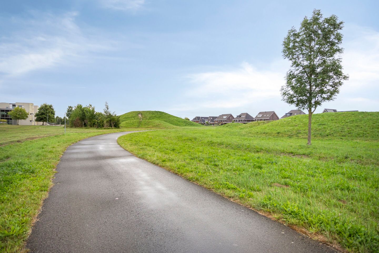 Foto 40 van Weegbree 25