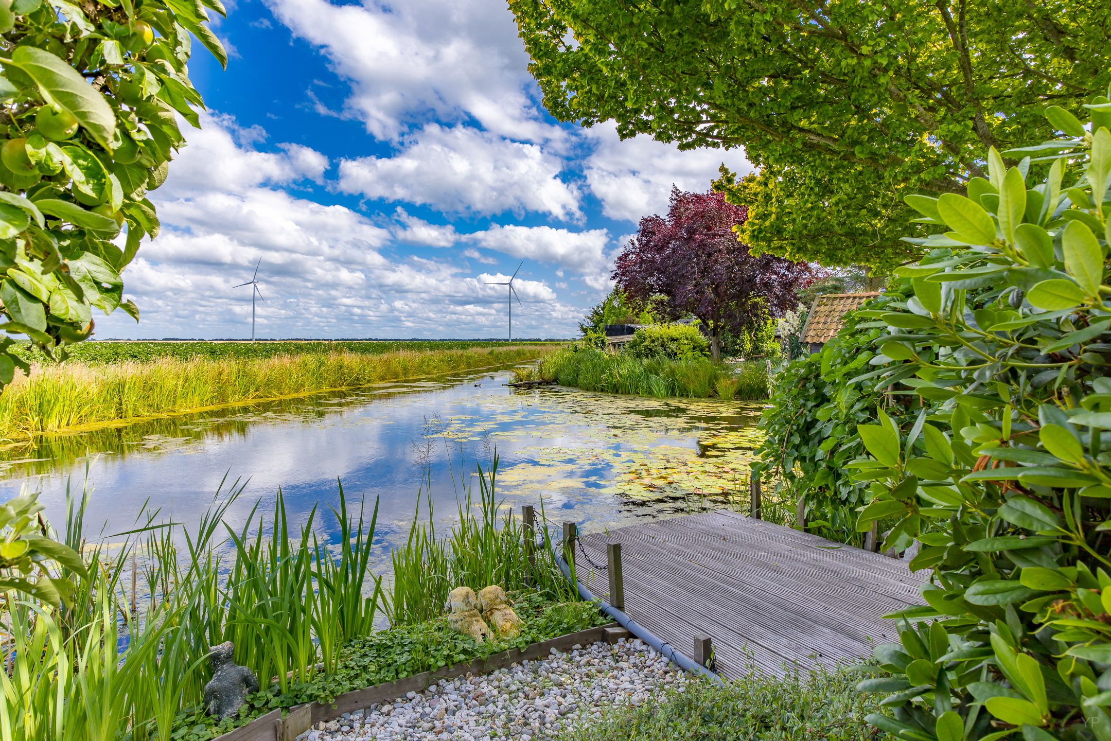 Foto 3 van Beene Dubbelboerstraat 25