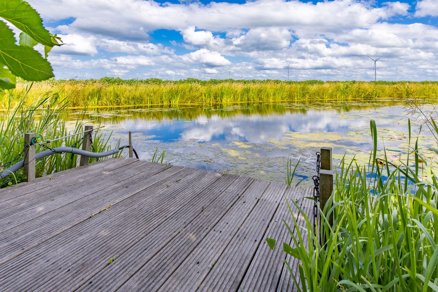 Foto 29 van Beene Dubbelboerstraat 25