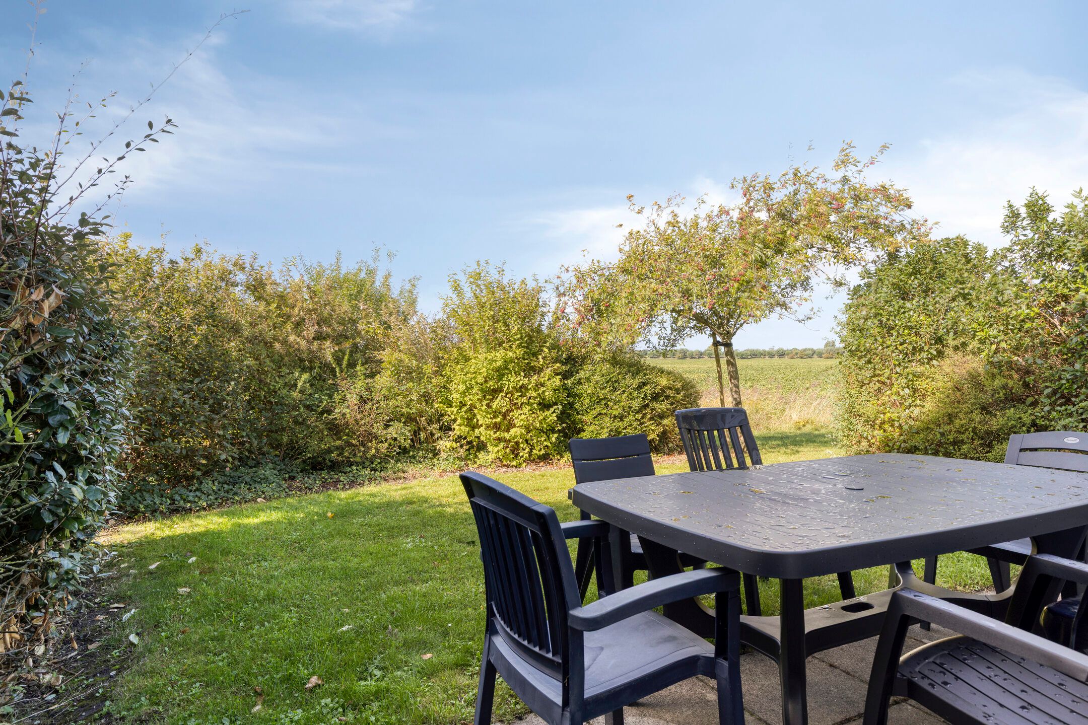 2-bedroom freehold villa in Vrouwenpolder — photo 4 of 5
