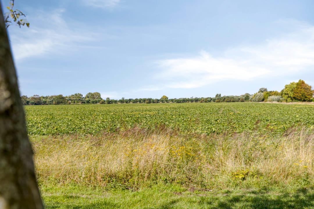 Foto 32 van Het Veerse Bree 29