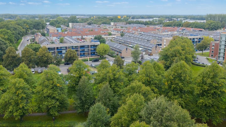 Foto 30 van Bellinistraat 36