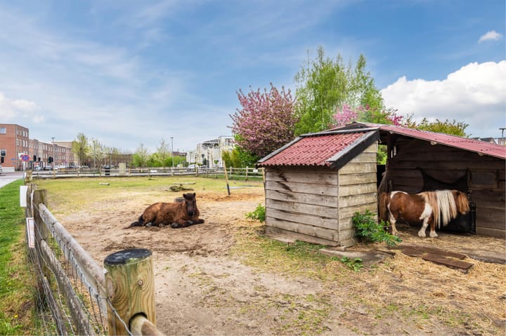 Foto 48 van Saturnussingel 233