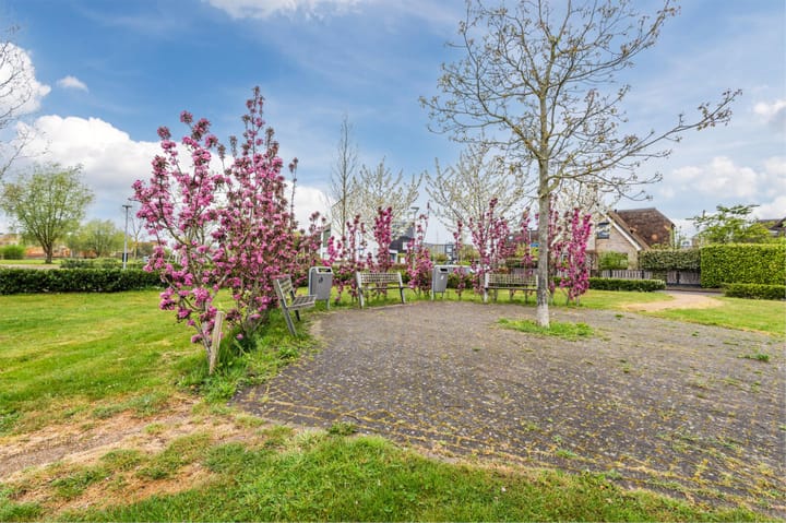 Foto 49 van Saturnussingel 233