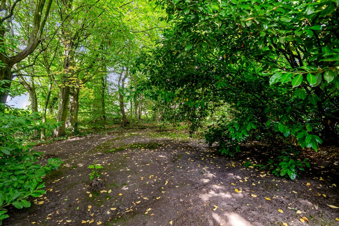 Foto 41 van Mallumse Molenweg 11