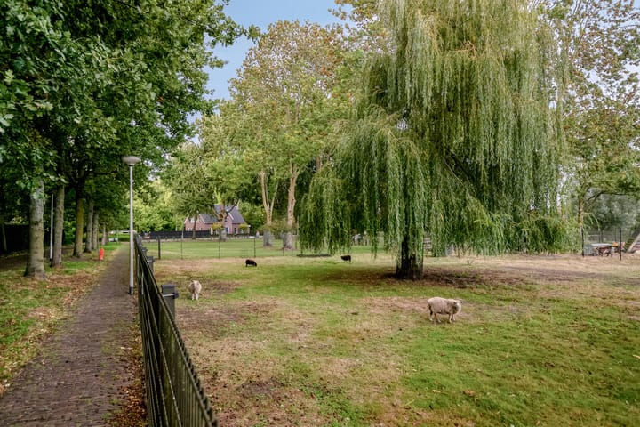 Foto 50 van Abdijberg 5